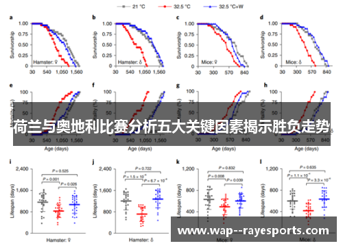 荷兰与奥地利比赛分析五大关键因素揭示胜负走势